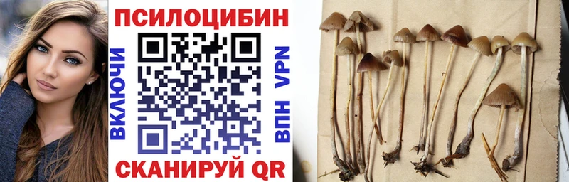 Псилоцибиновые грибы прущие грибы  Никольское 